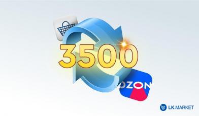 Кейс: Перенос 3500 товаров на Ozon из интернет-магазина